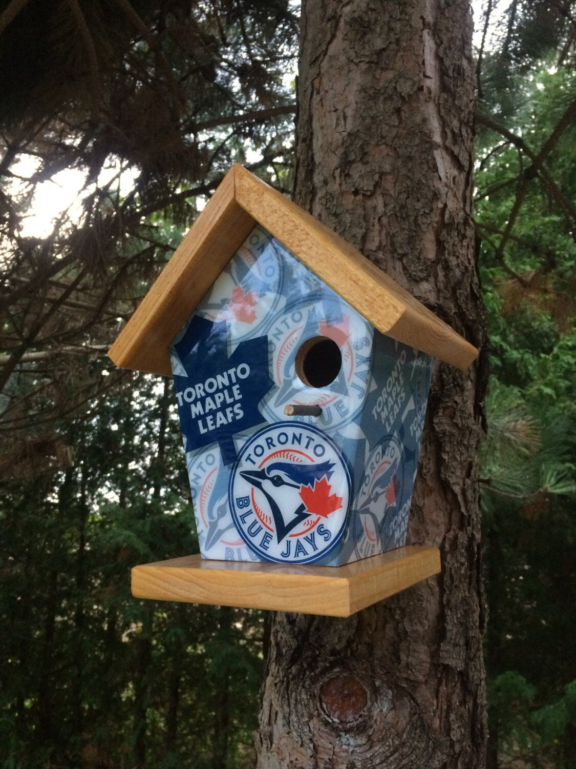 Toronto Fan Birdhouse/Feeder Sports