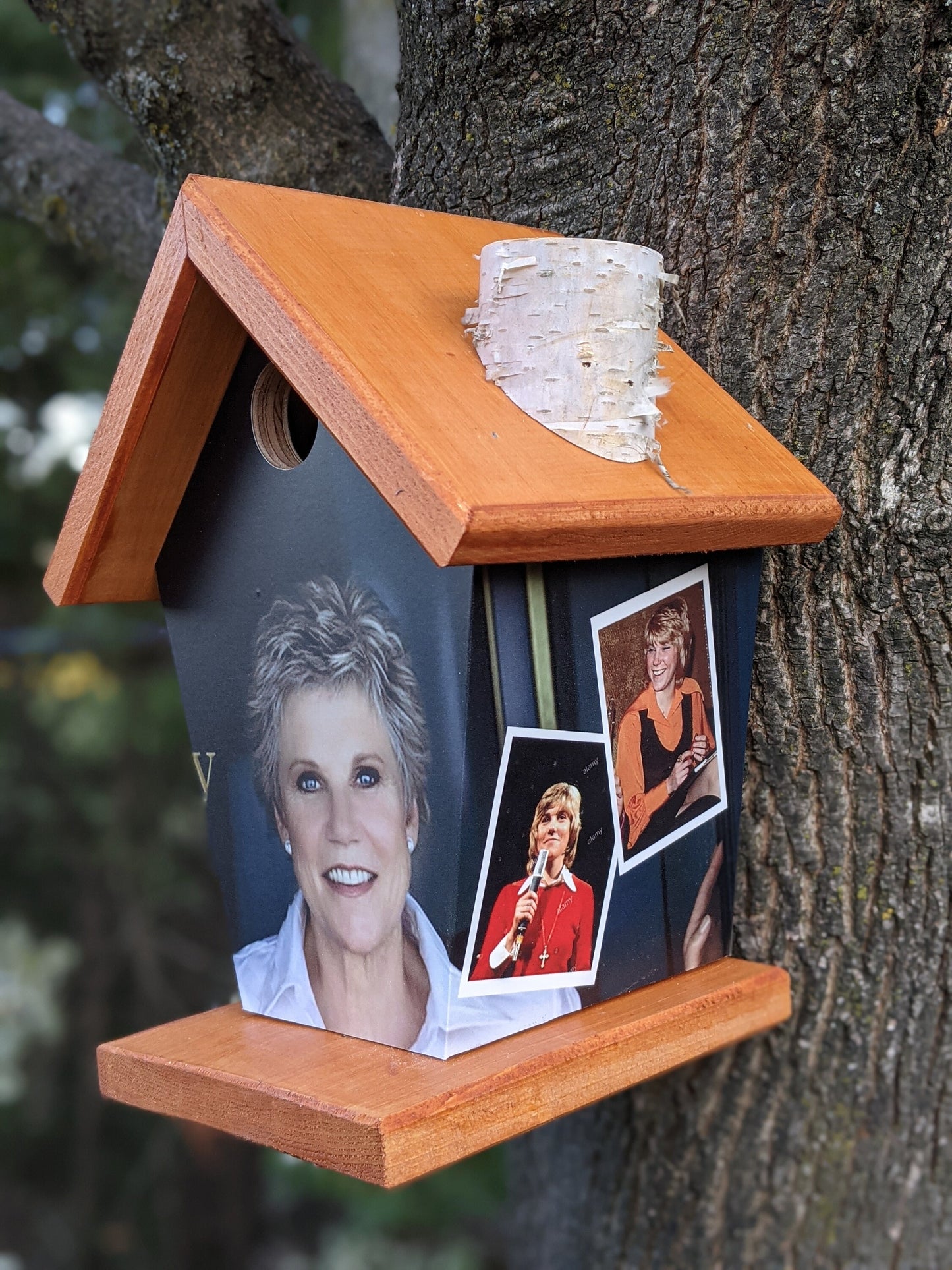Anne Murray Birdhouse Music