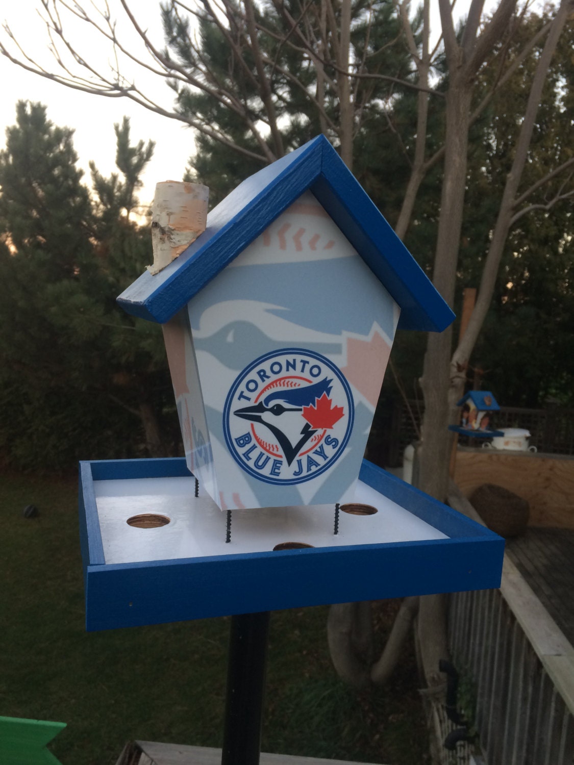 Blue Jays Bird Feeder Sports