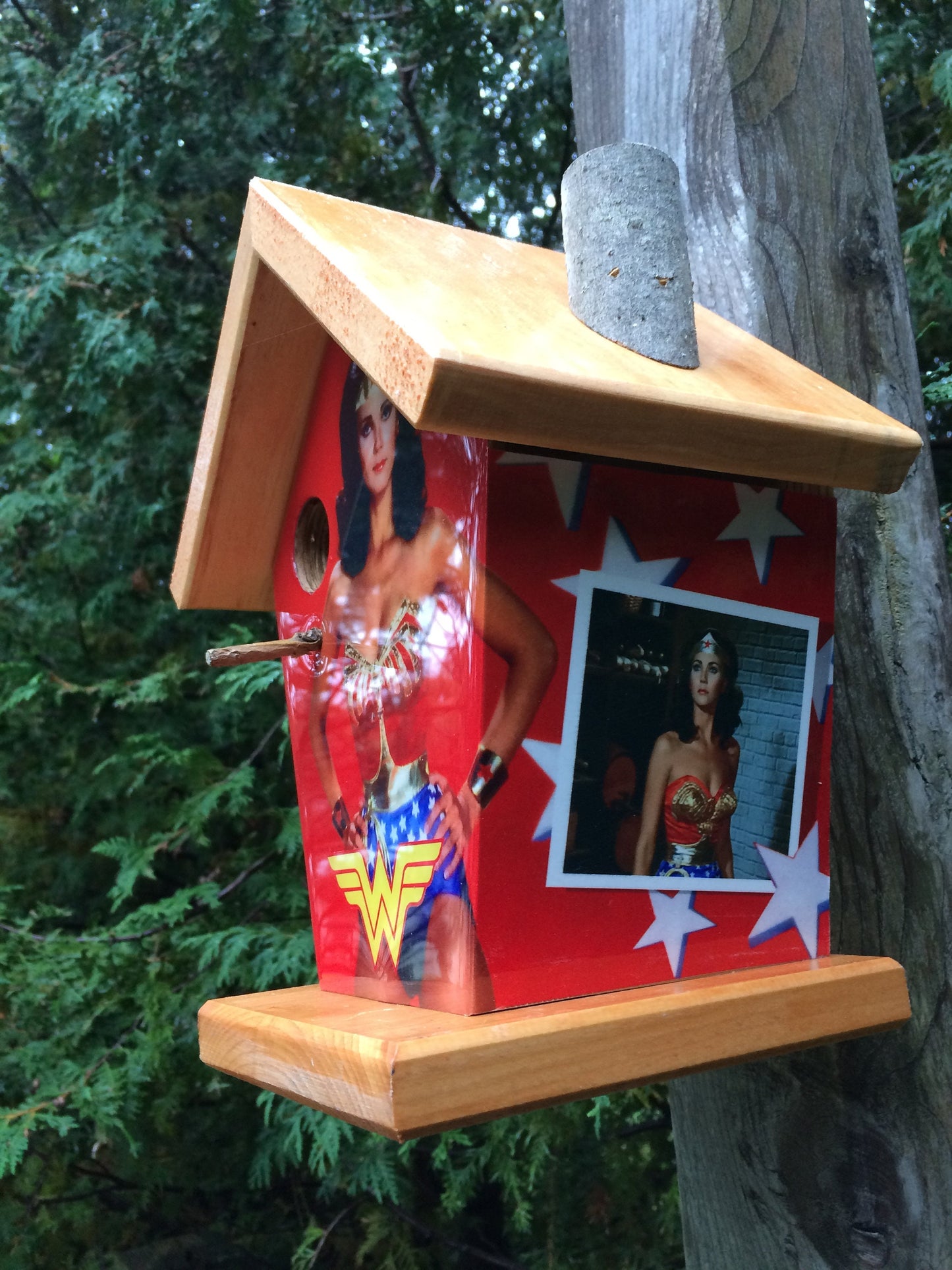 Wonder Woman Birdhouse
