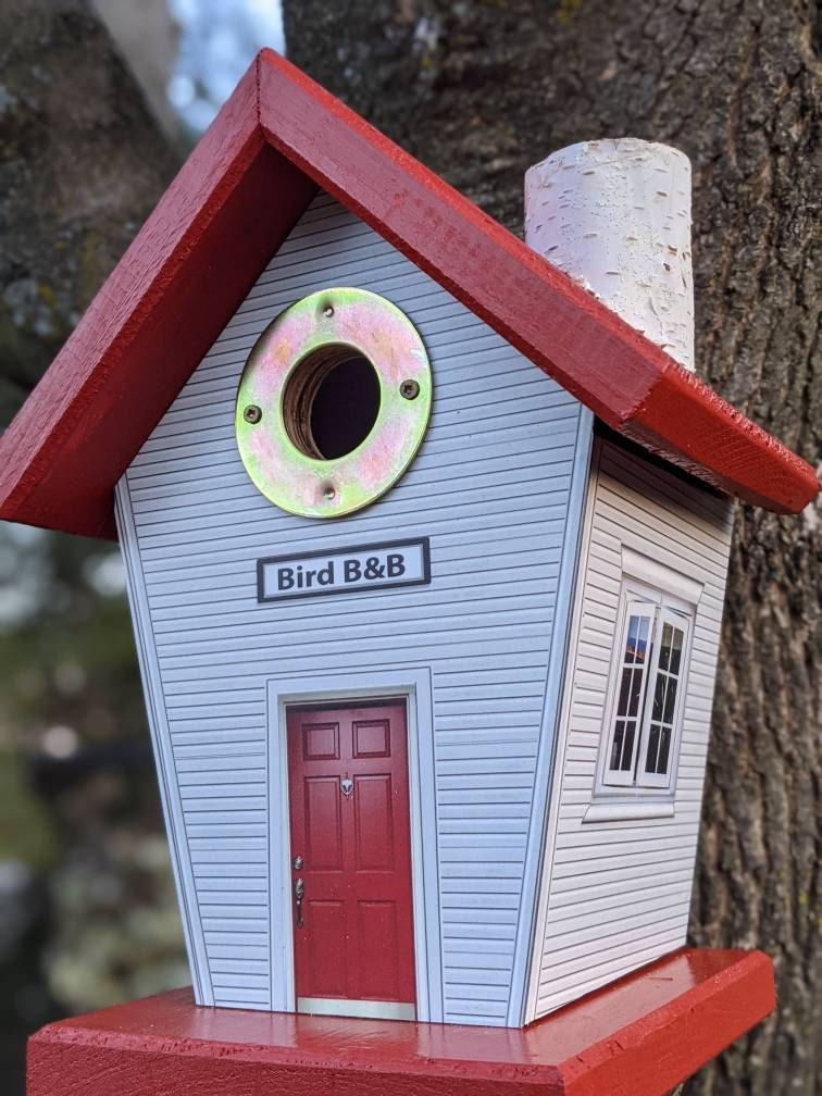Birds B & B (Hole Protector) Birdhouse