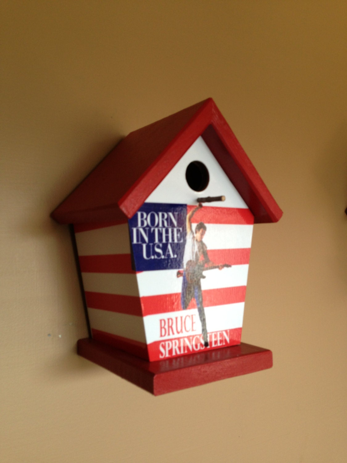 Bruce Springsteen Birdhouse Music