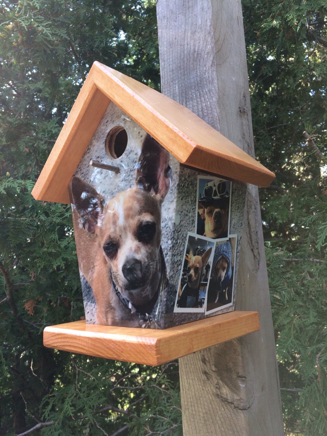 Custom Pet Image wrapped Birdhouse