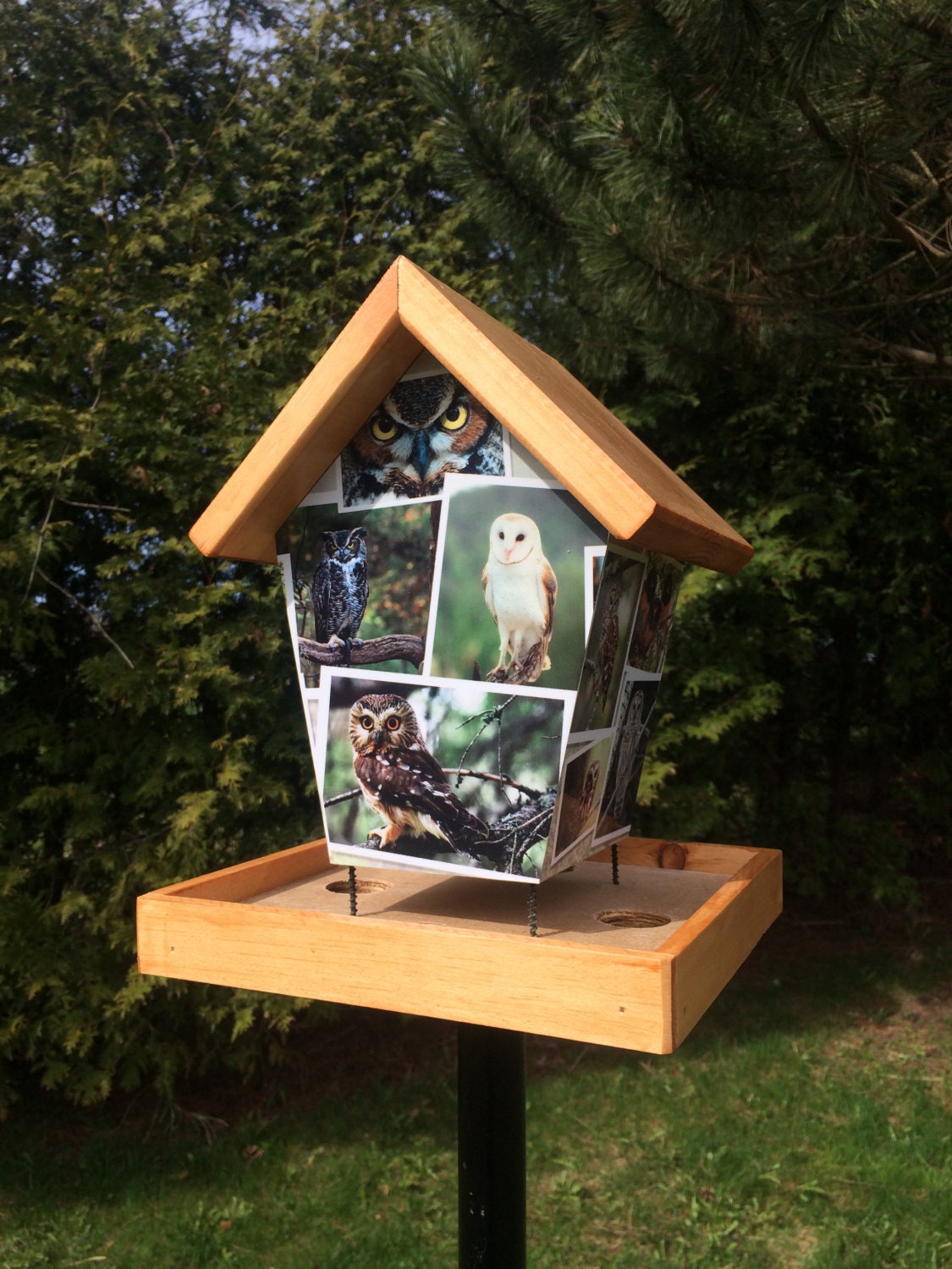 Owl Birdhouse Bird Feeder