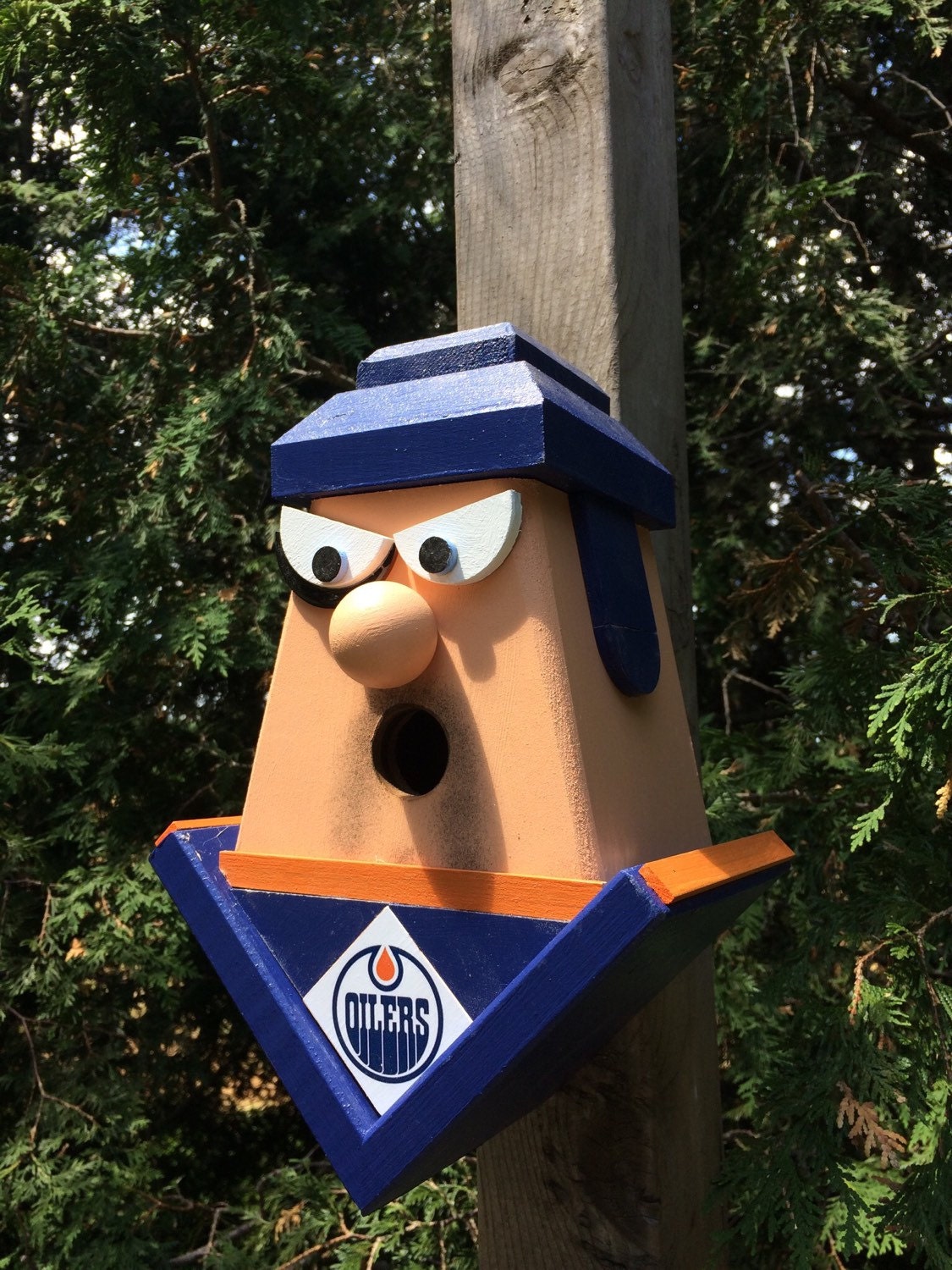 Edmonton Oliers Players with Black Eye Birdhouse