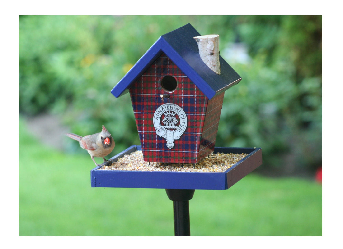 Cameron Clan Bird Feeder