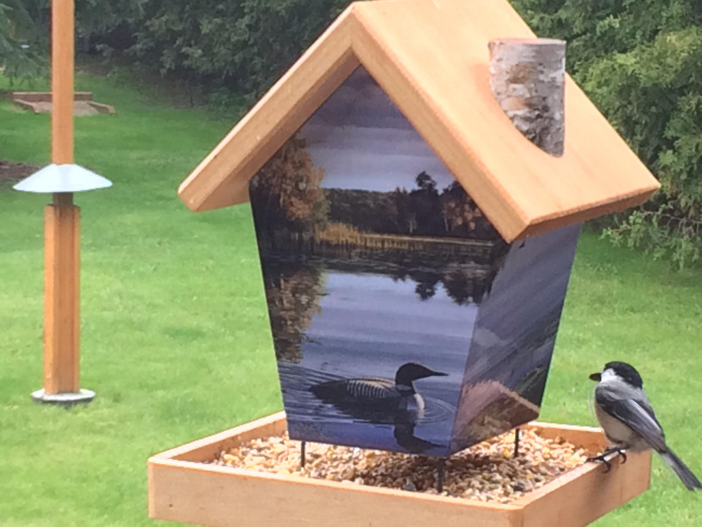 Loons Bird Feeder