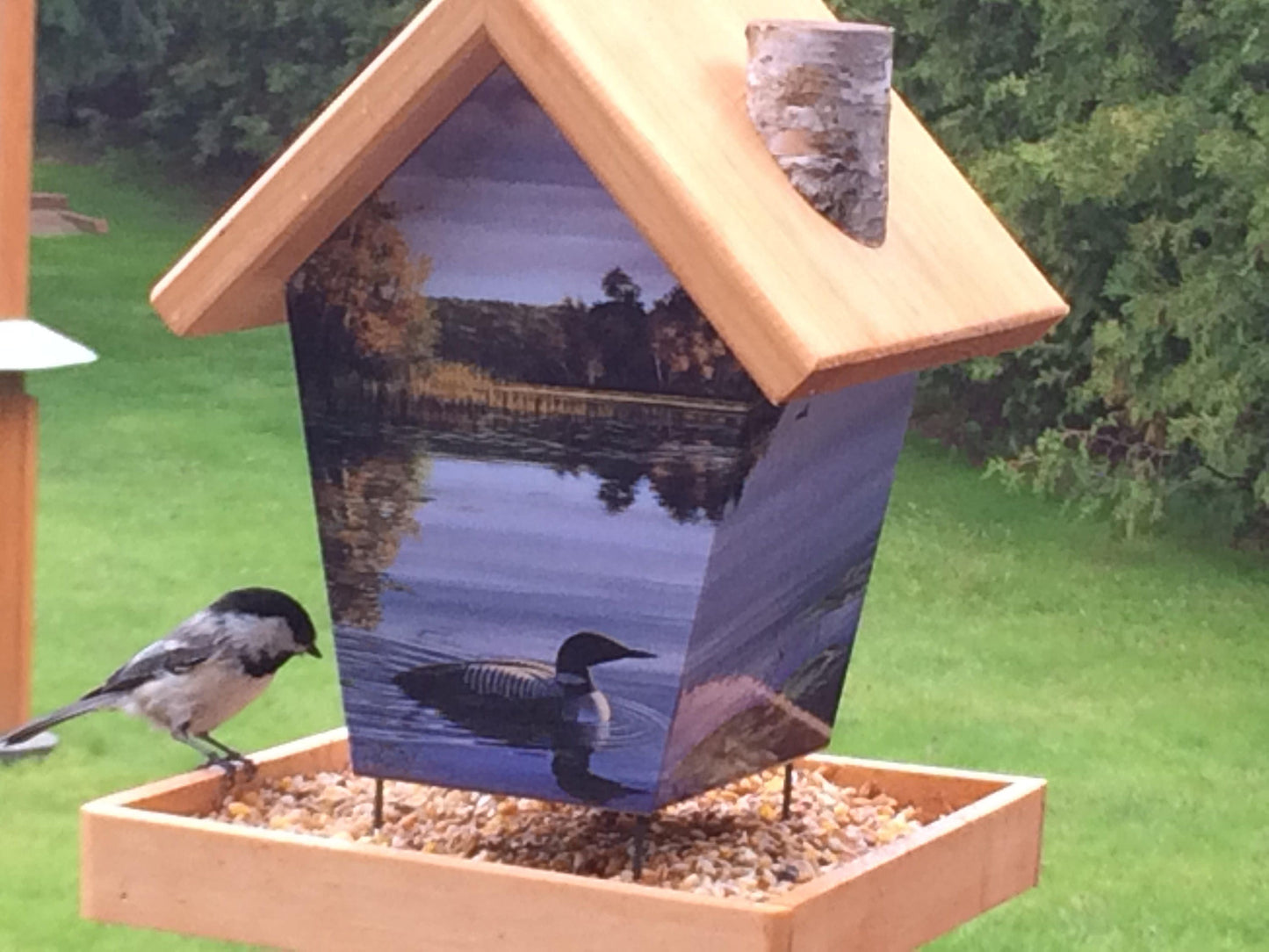 Loons Bird Feeder