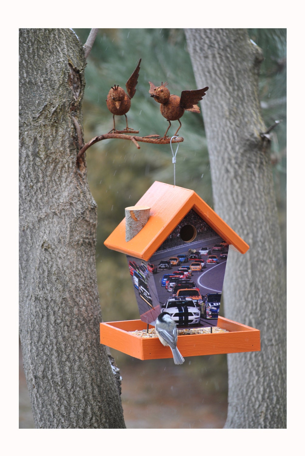 Nascar Bird Feeder