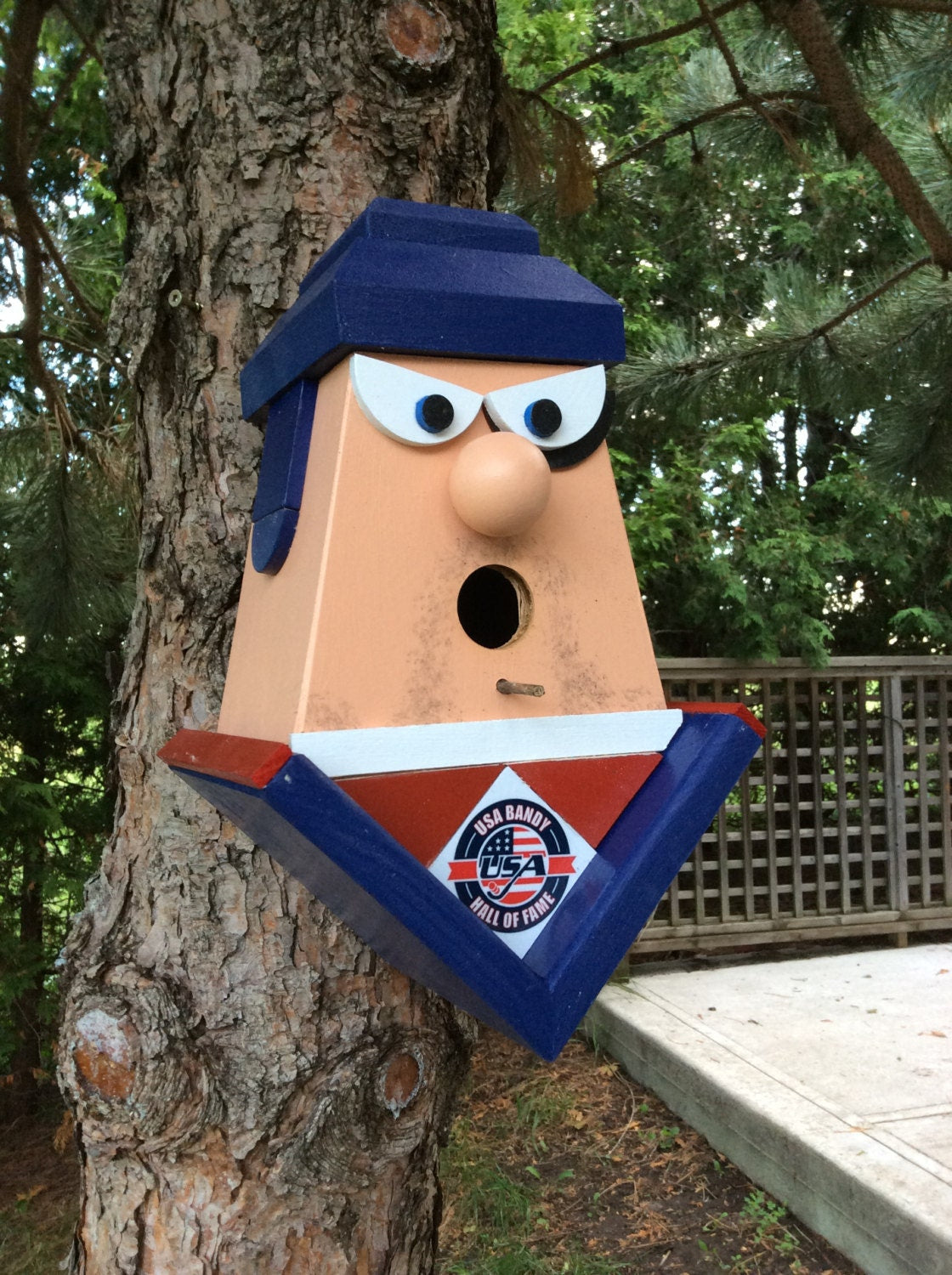 USA Brandy Hall Of Fame Birdhouse