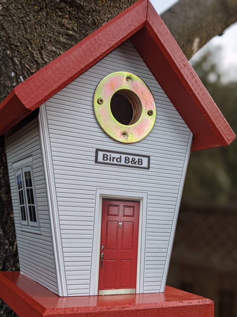 Birds B & B (Hole Protector) Birdhouse