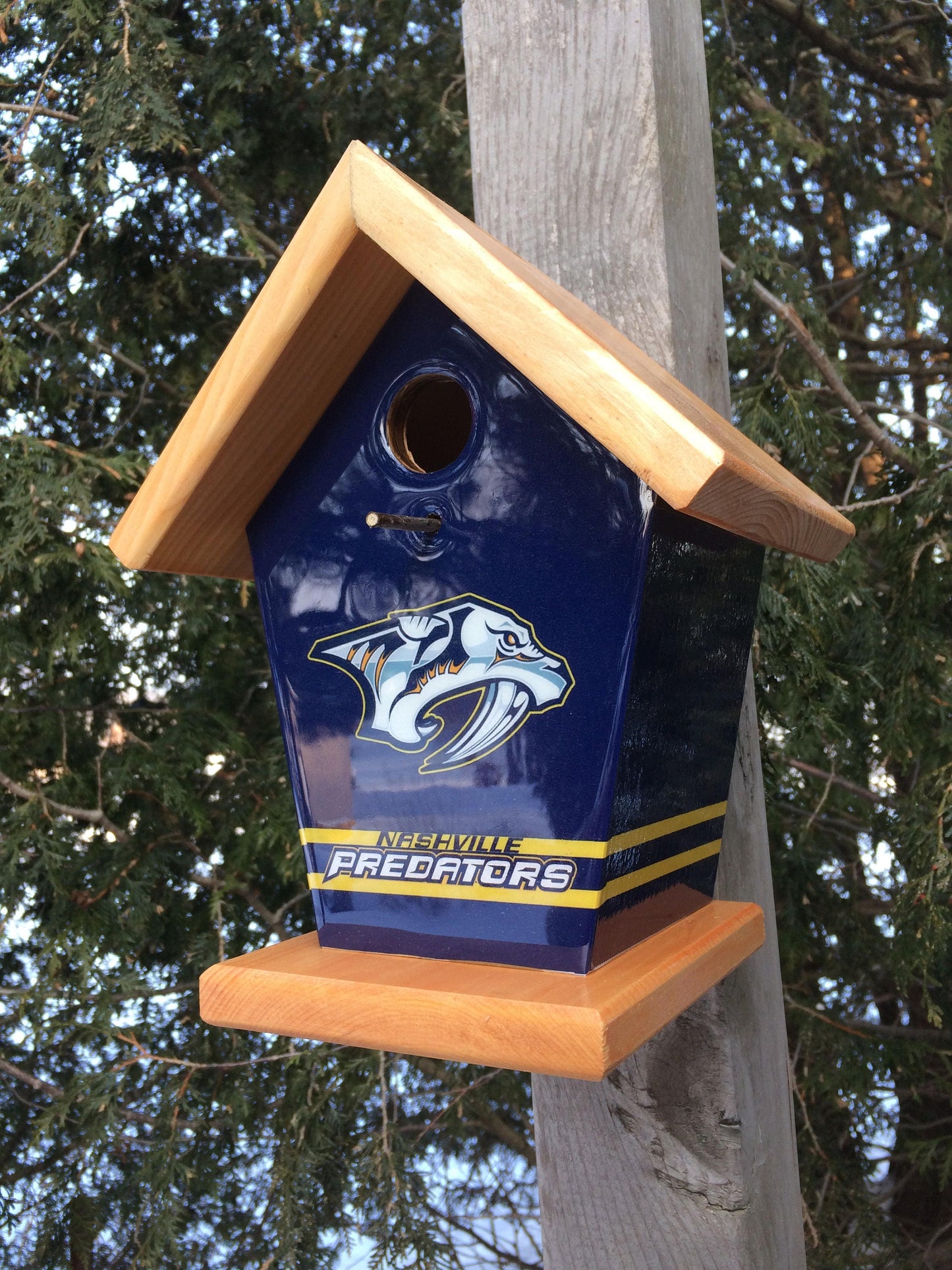 Nashville Predators Birdhouse Sports