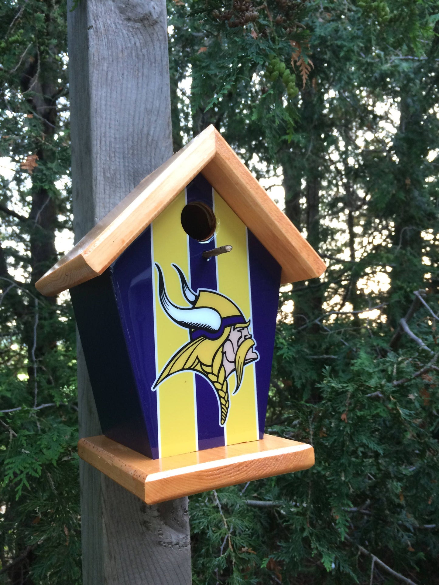 Minnesota Vikings Birdhouse Sports