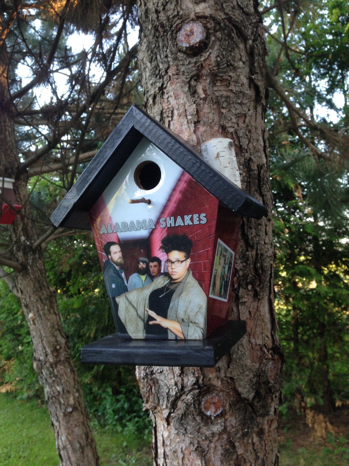 Alabama Shakes Birdhouse