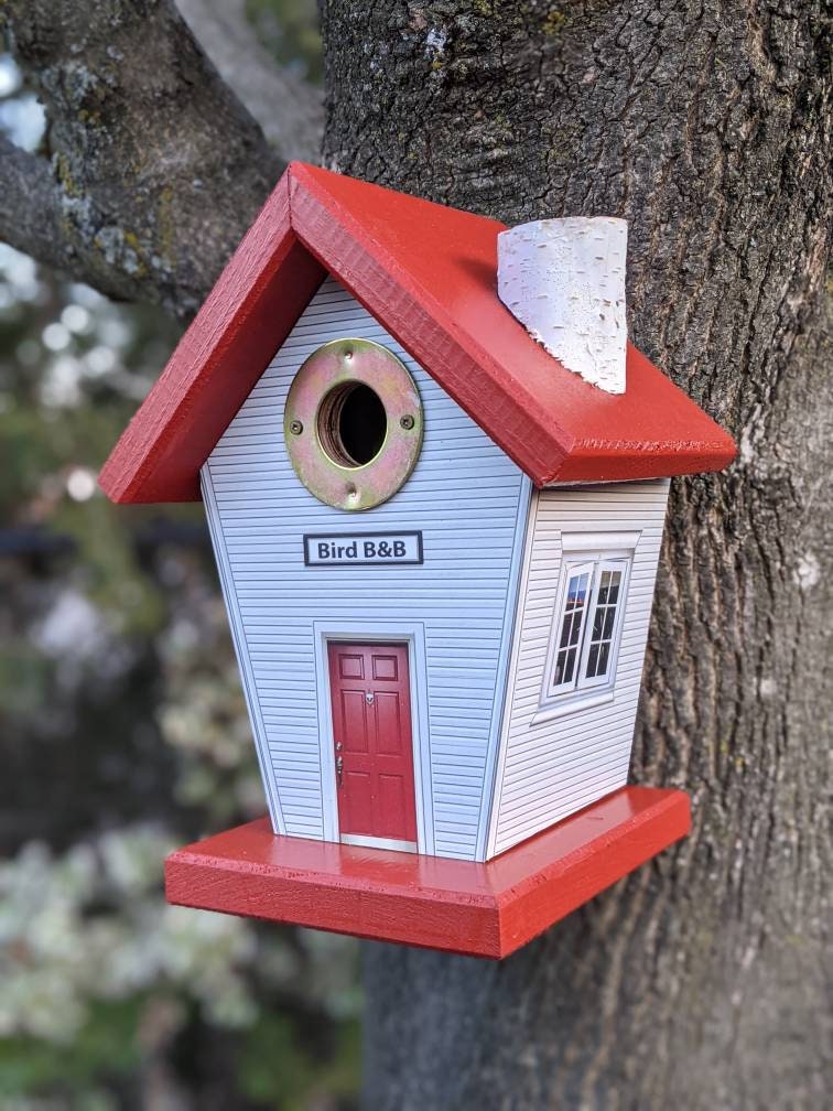 Birds B & B (Hole Protector) Birdhouse