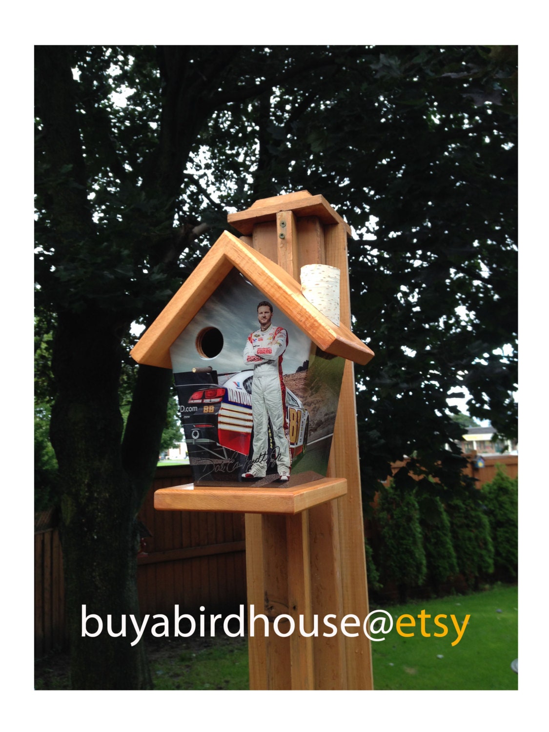 Dale Earnhardt Jr Birdhouse Sports