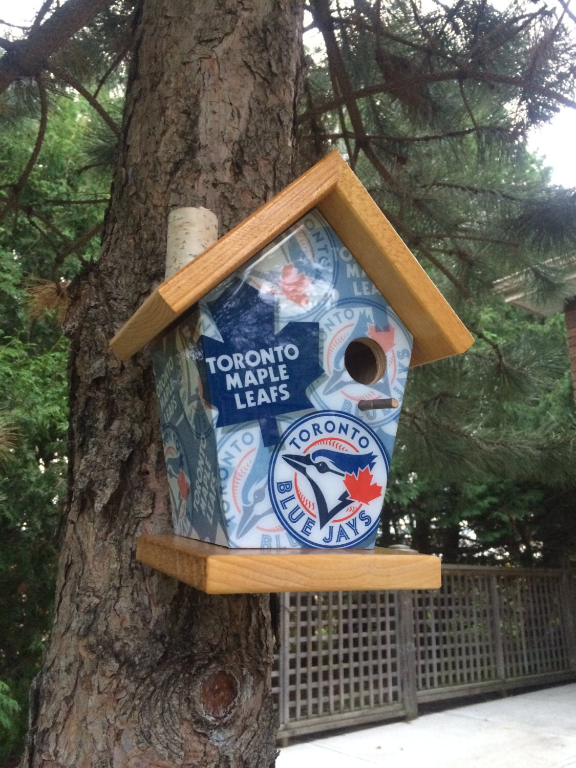 Toronto Fan Birdhouse/Feeder Sports