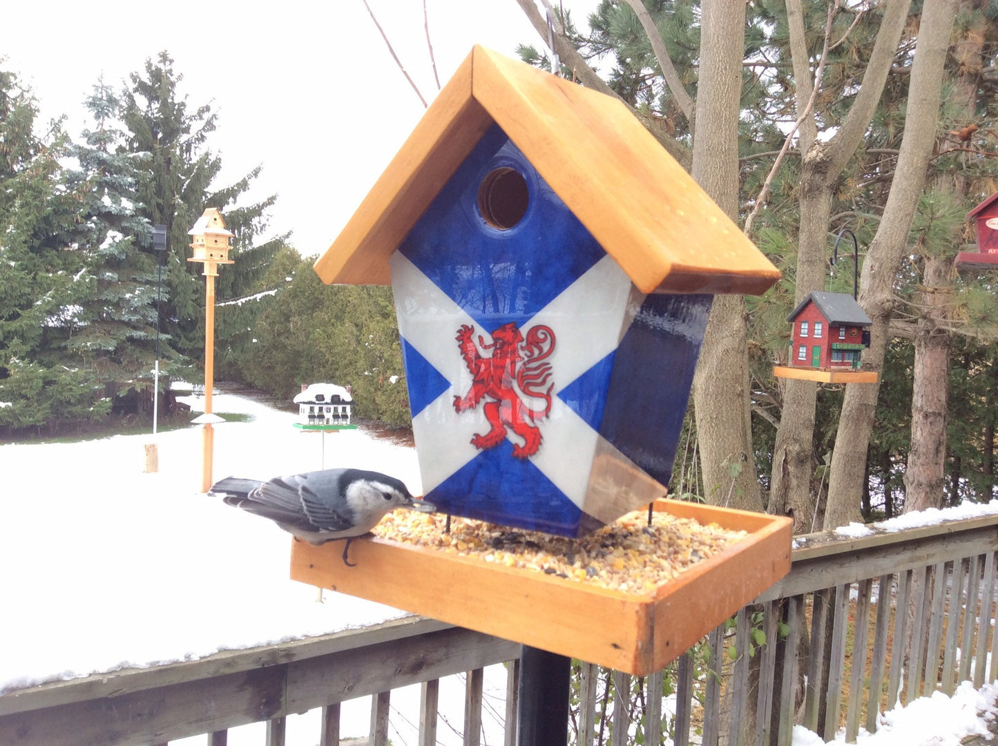 Scotland (Stained Roof) Bird Feeder