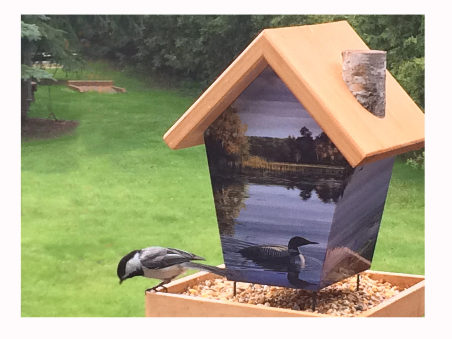 Loons Bird Feeder