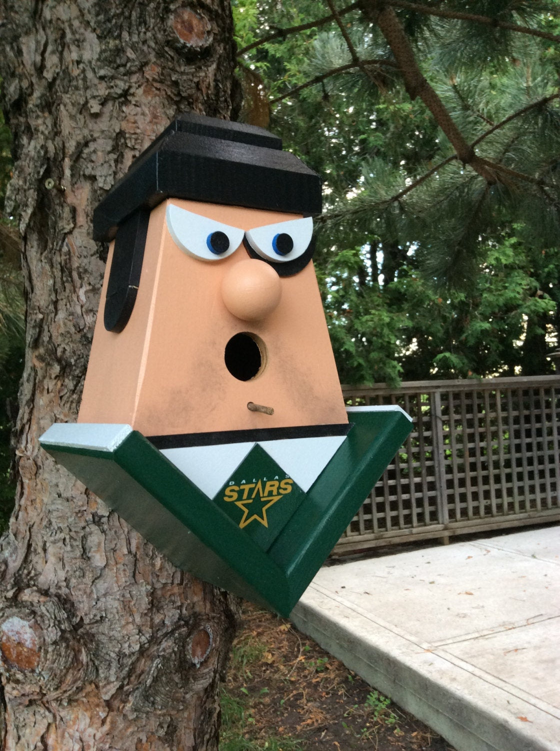 Dallas Stars Player Birdhouse