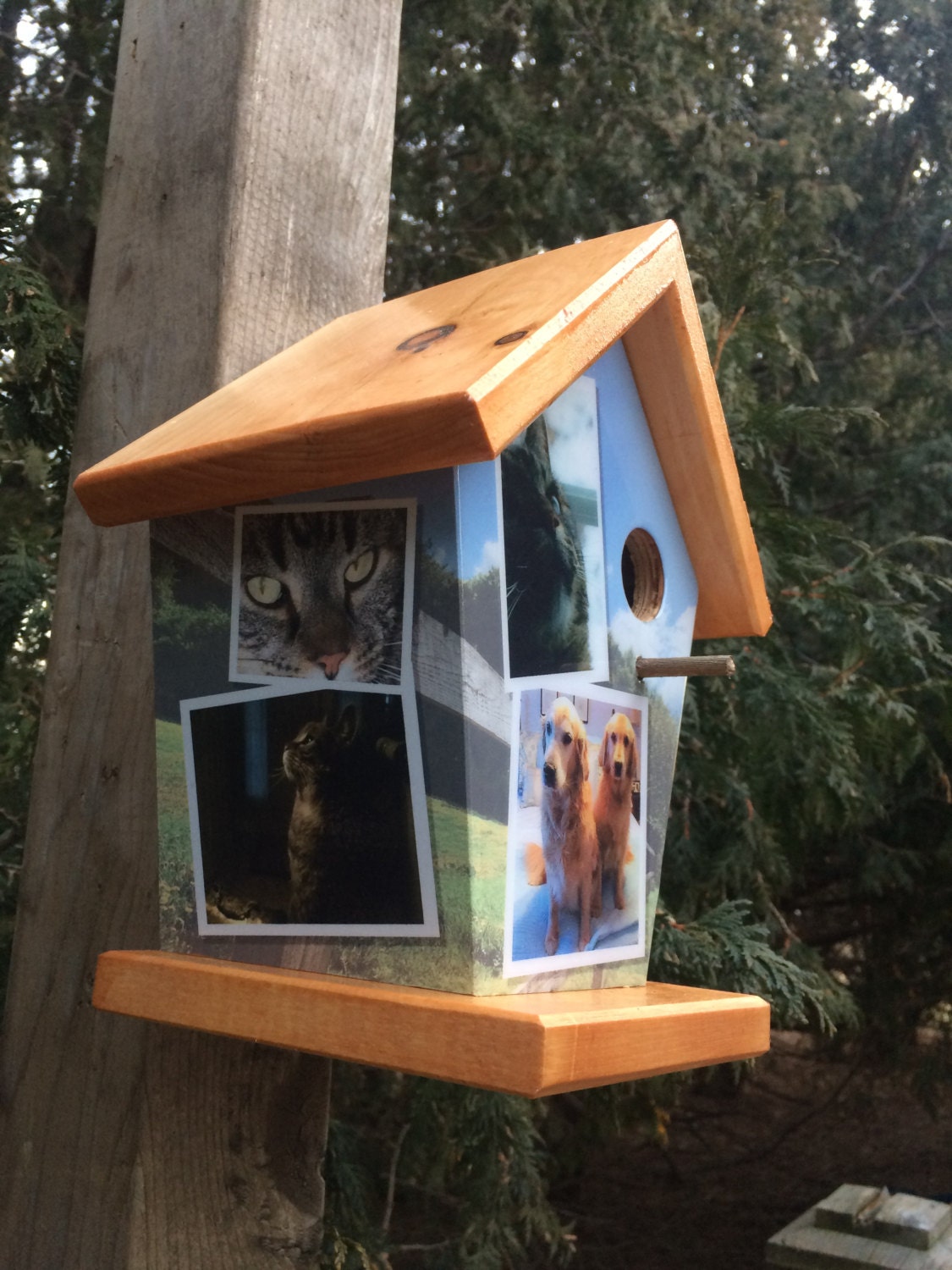 Custom (6 Images) Birdhouse/Feeder