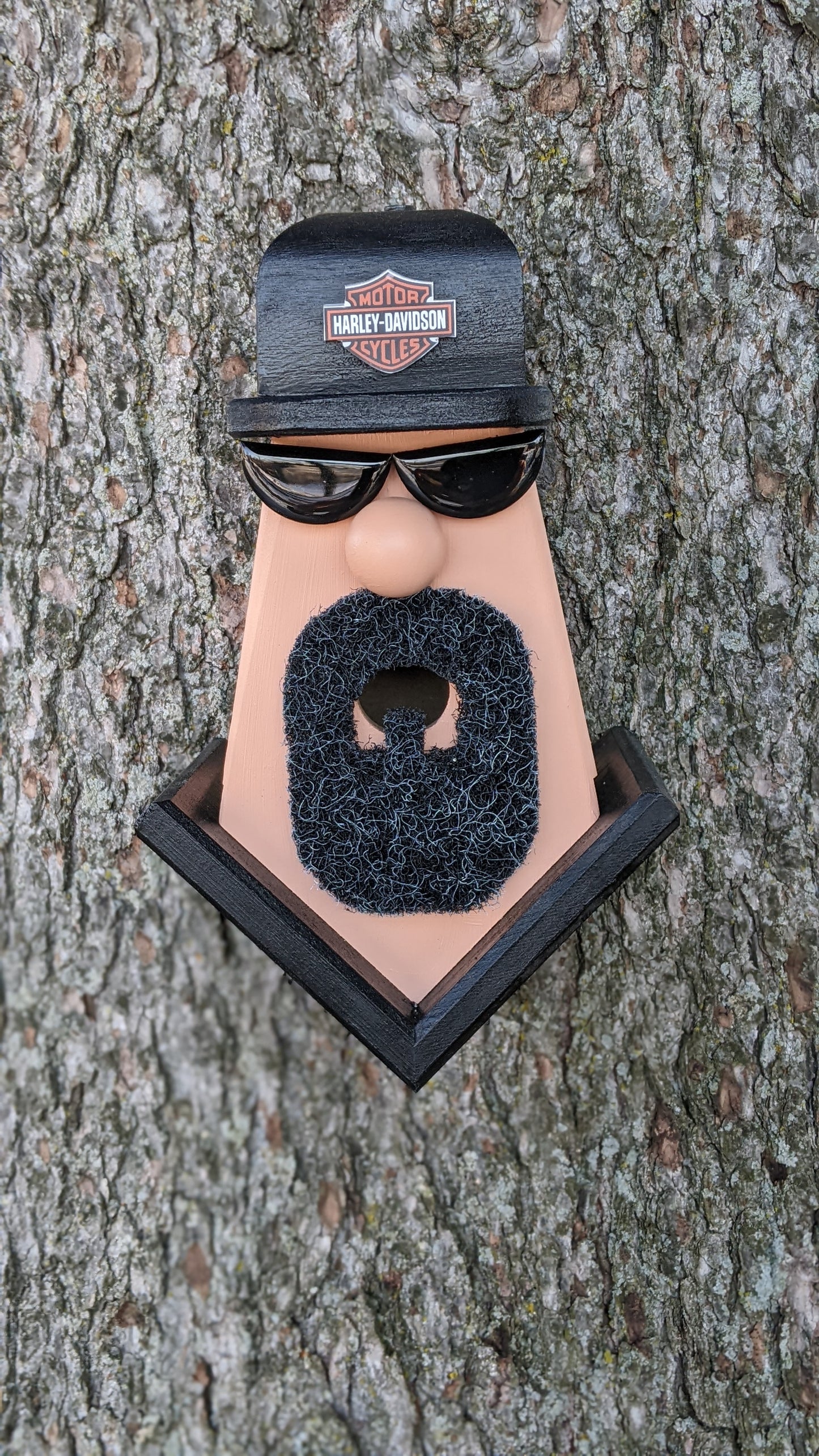 Motorcycle Dude Birdhouse