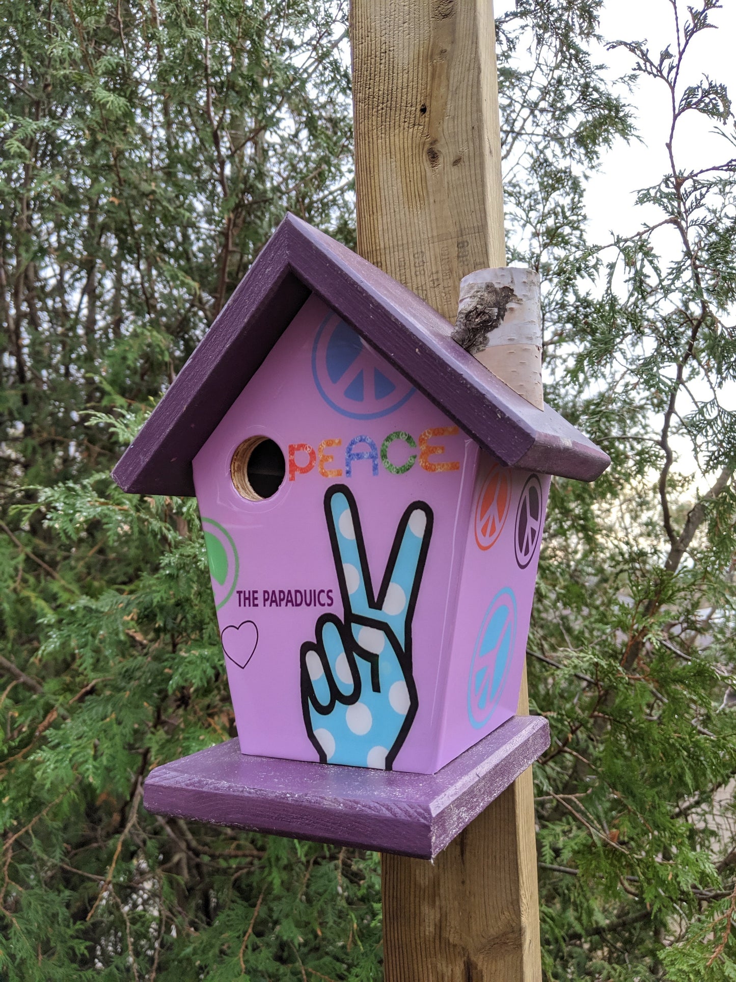 Peace Sign Birdhouse