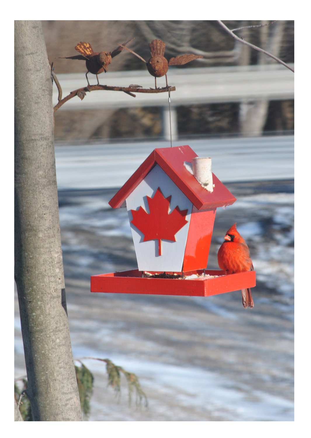 Canadian Bird Feeder