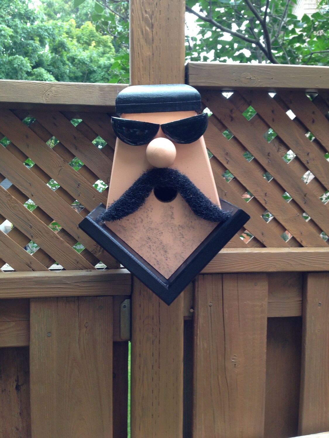 Biker Dude! Birdhouse