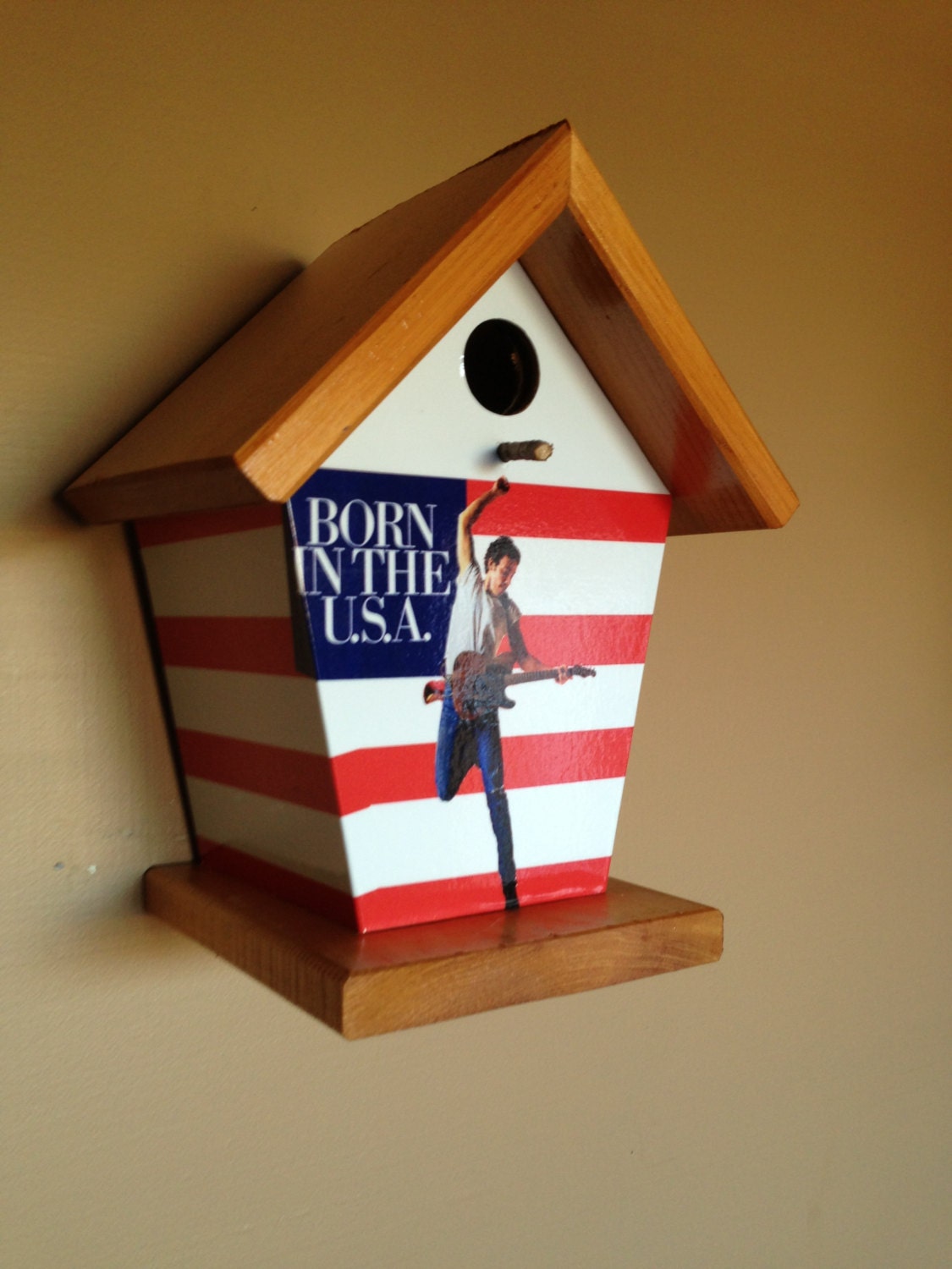 Bruce Springsteen Birdhouse Music