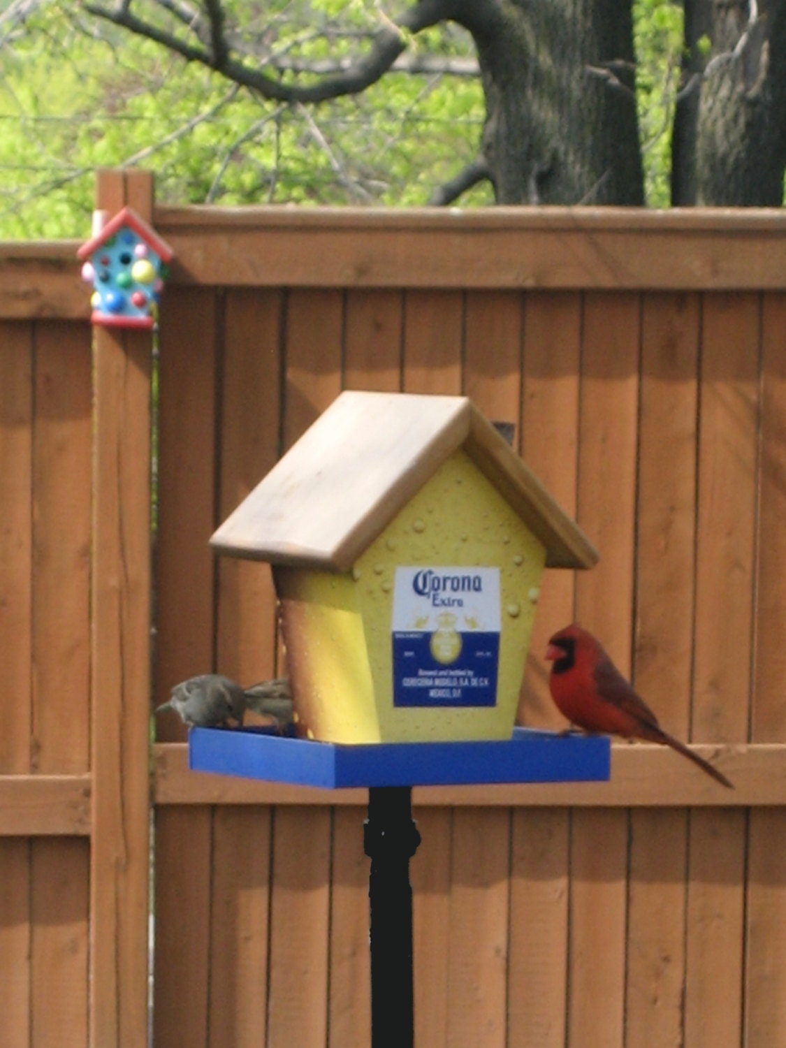 Corona Bird Bird Feeder/Birdhouse