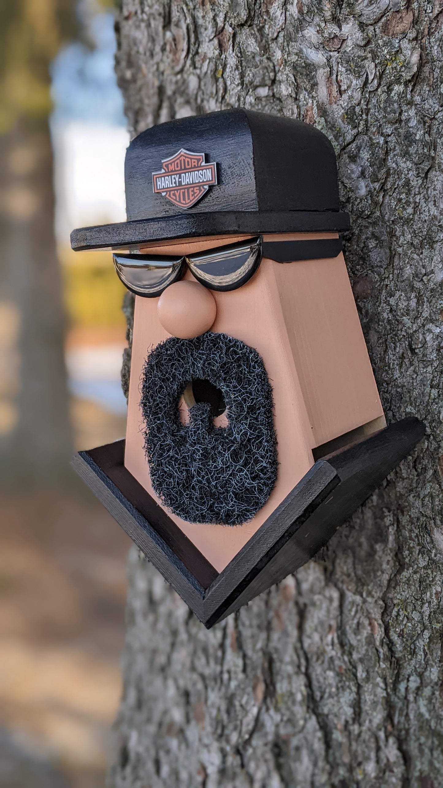 Motorcycle Dude Birdhouse