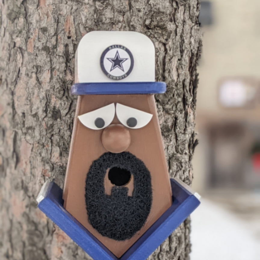 Dallas Cowboys Fan Birdhouse