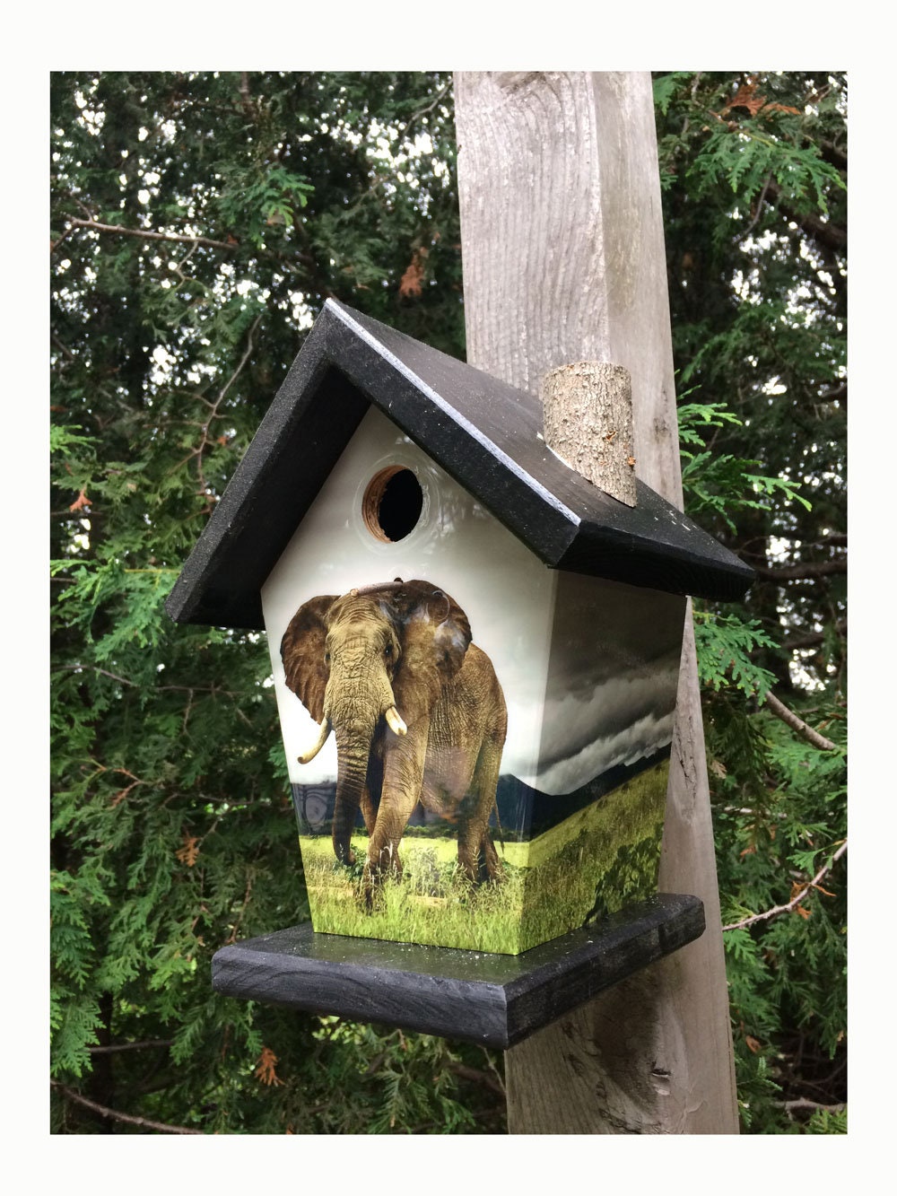 Elephant Birdhouse