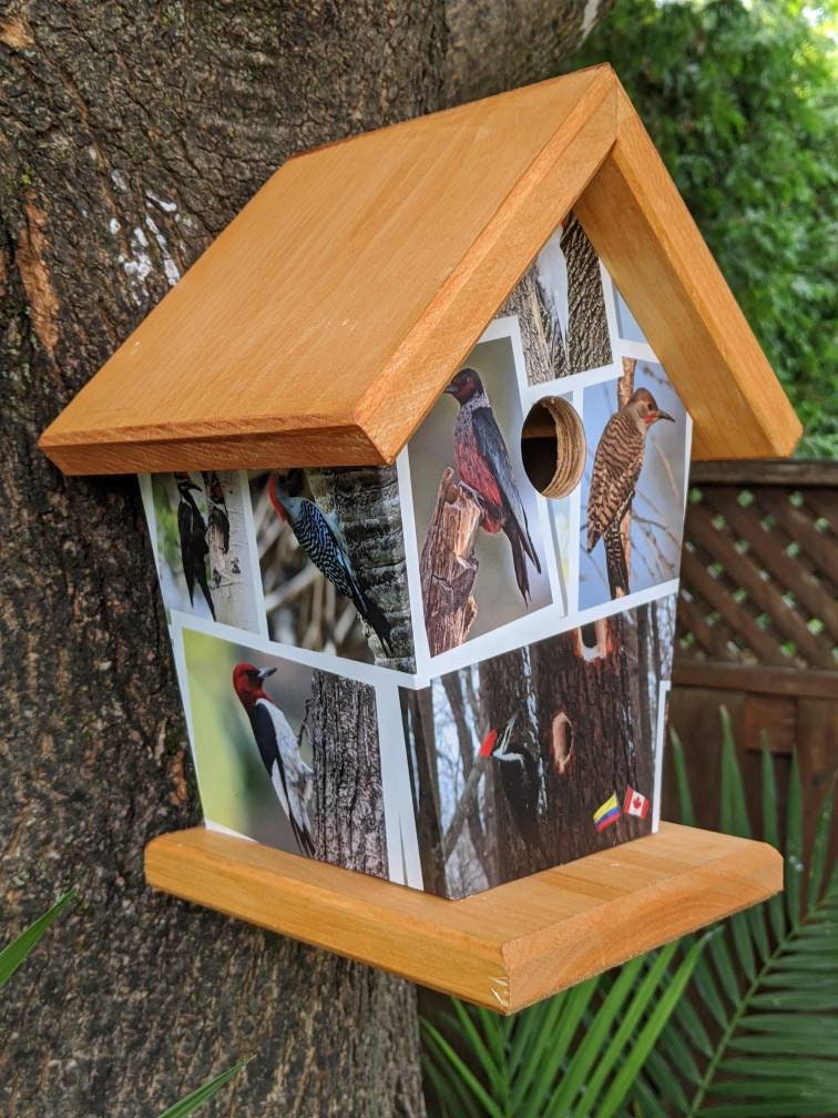 Woodpecker Birdhouse