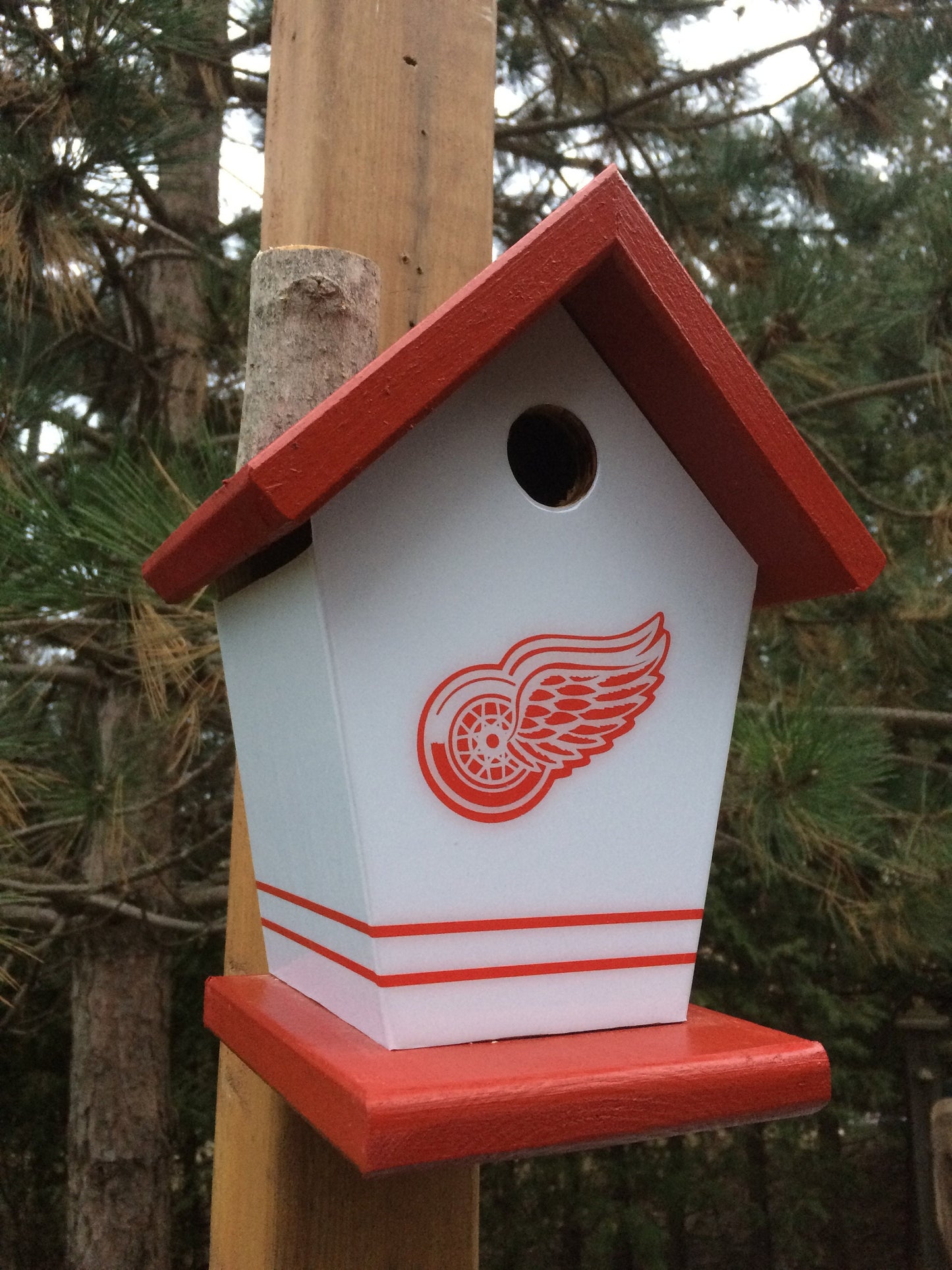 Detriot Red Wings Birdhouse Sports