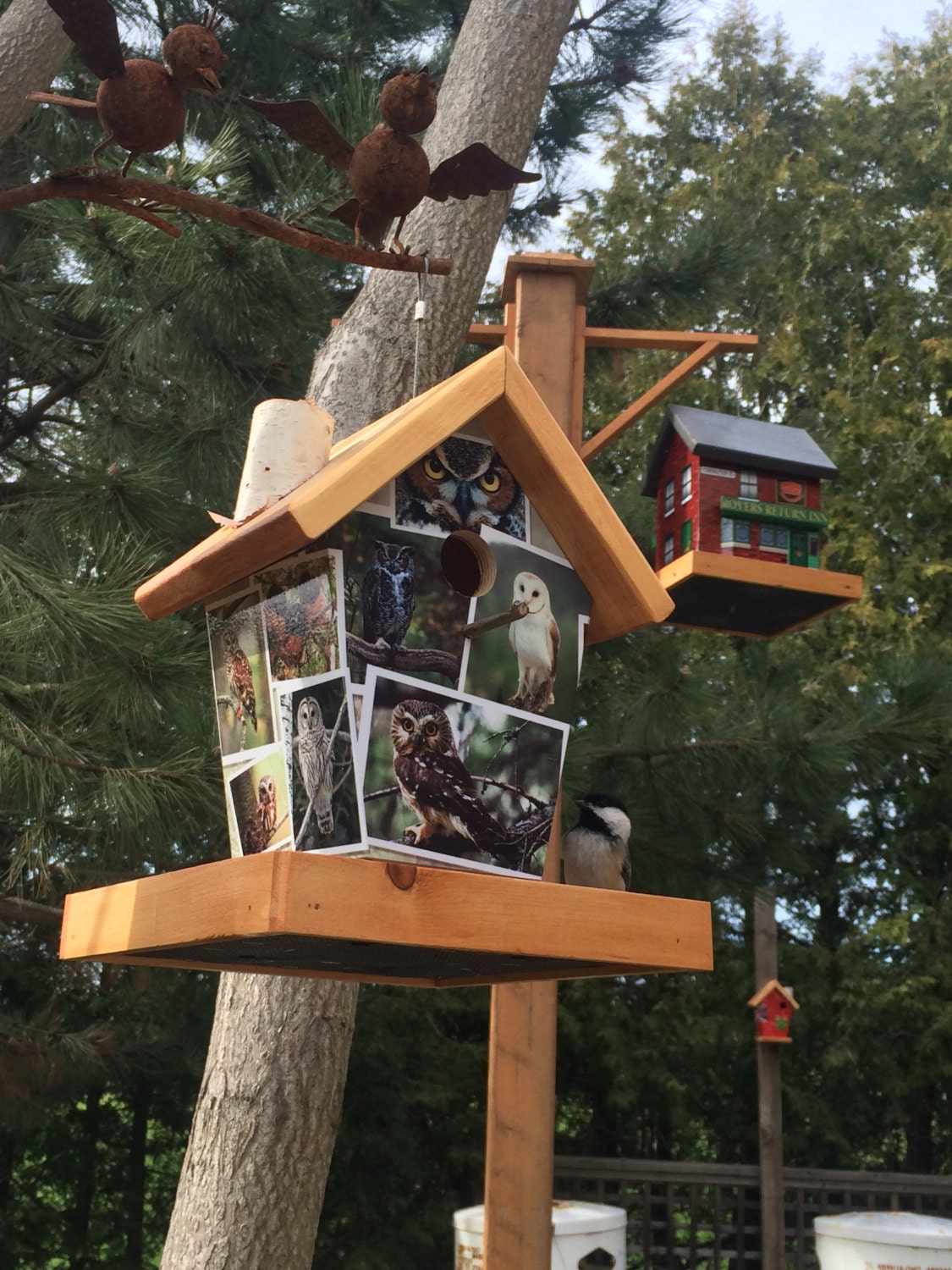 Owl Birdhouse Bird Feeder