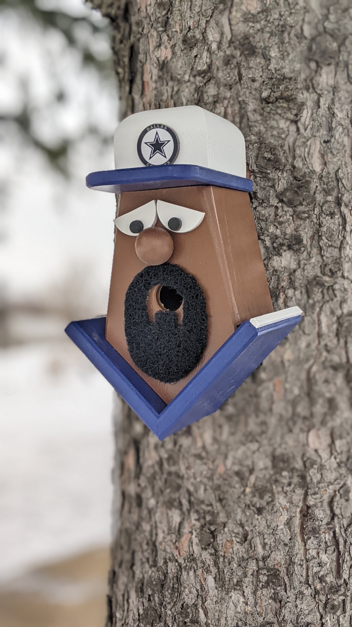 Dallas Cowboys Fan Birdhouse