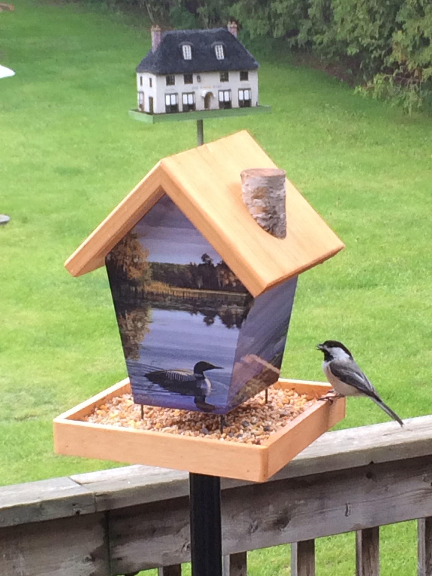 Loons Bird Feeder