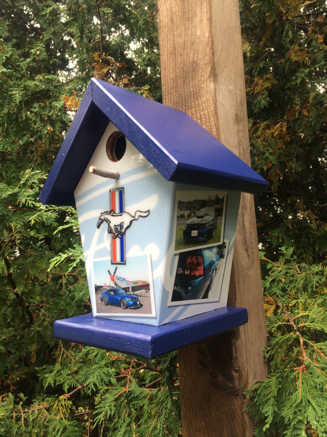 Mustang Birdhouse