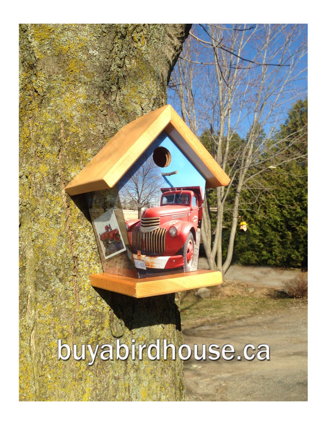 Custom Red Pick up Truck Birdhouse