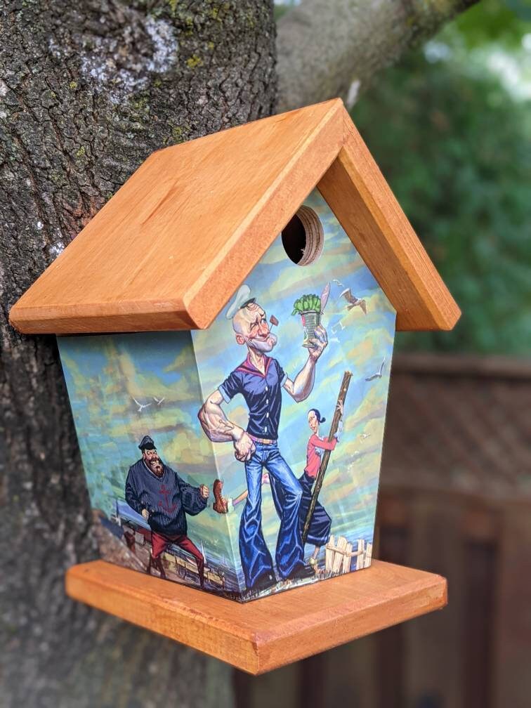 Popeye Birdhouse/Feeder