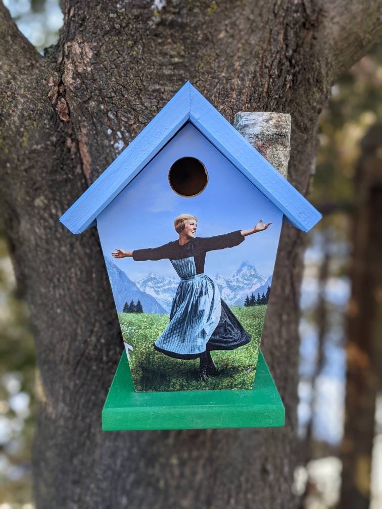 Sound Of Music Birdhouse