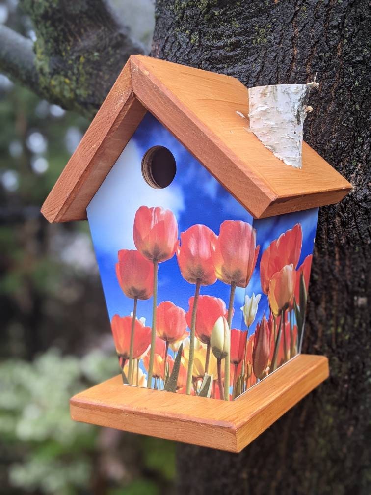 Tulips Birdhouse