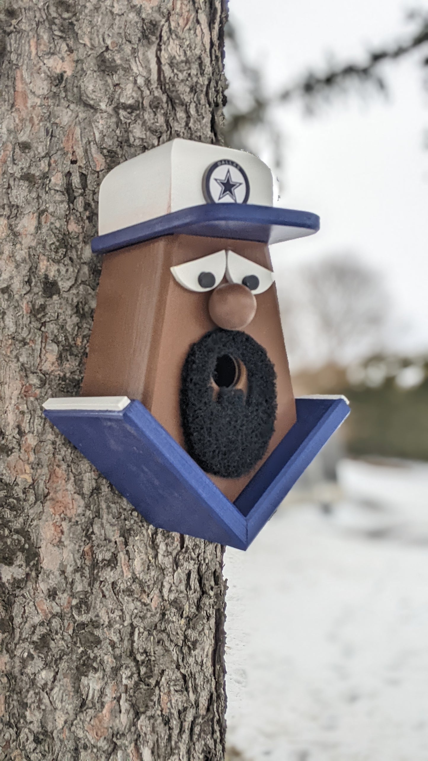 Dallas Cowboys Fan Birdhouse