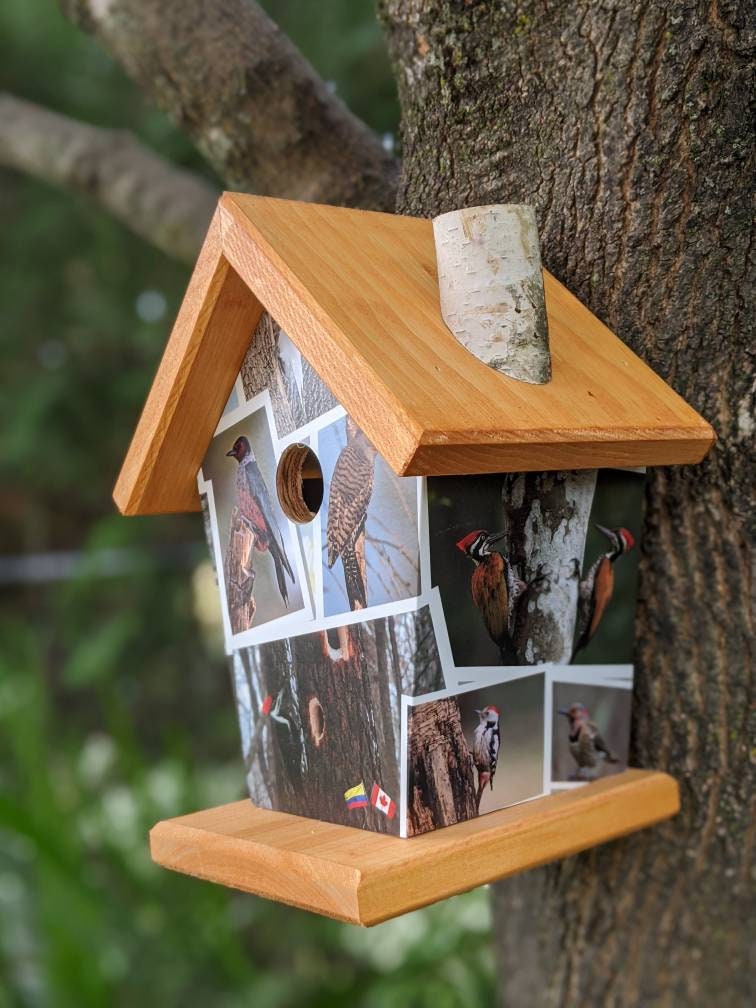 Woodpecker Birdhouse