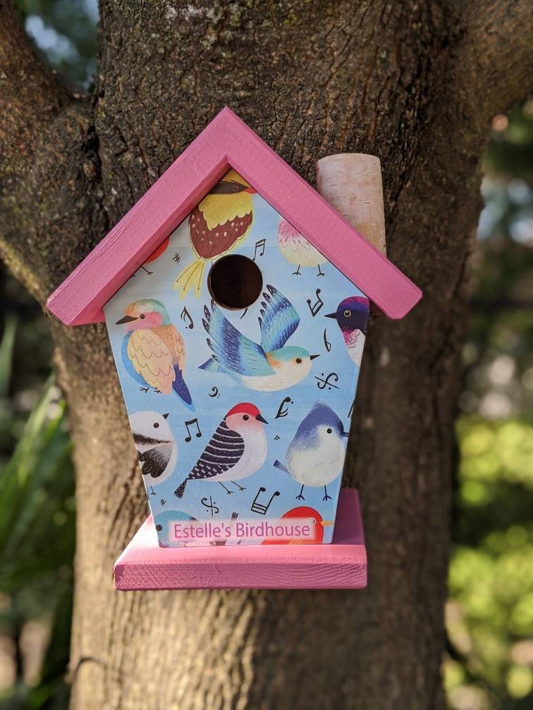 Songbirds (Pink Roof) Birdhouse