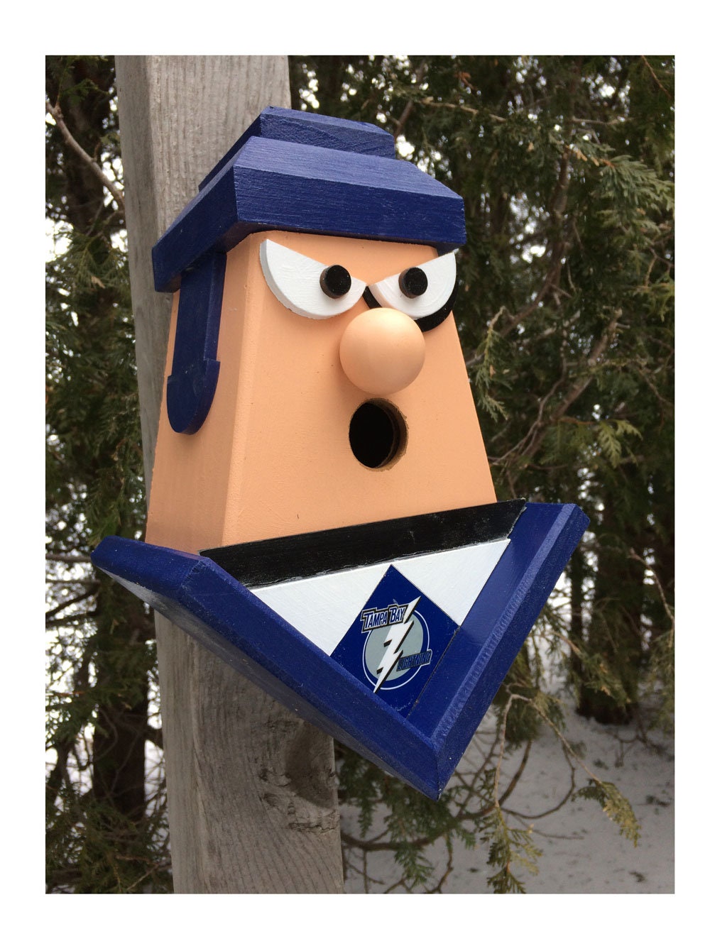 Tampa Bay Lighting Player Birdhouse