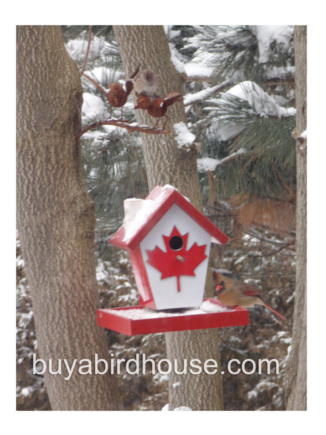 Canadian Bird Feeder