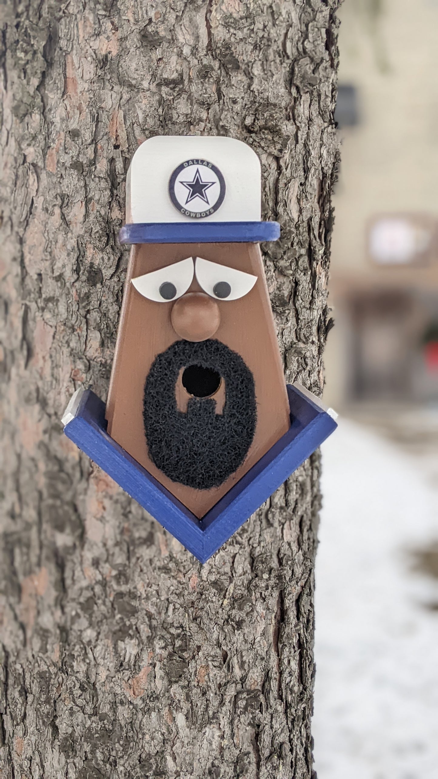 Dallas Cowboys Fan Birdhouse